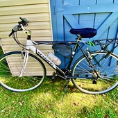 User avatar for Gil Condor