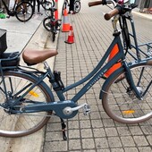 User avatar for Barbara Brown