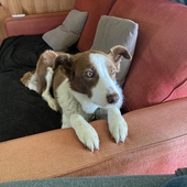 User avatar for Dan Lansell Kenny