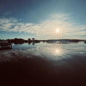 User avatar for Brad Swanton 💚