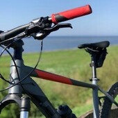 User avatar for Marjan H