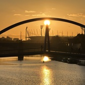 User avatar for Dave Taylor