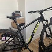 User avatar for Niko Perez