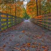 User avatar for Benjamin Hines