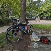 User avatar for Ciaran Welsh