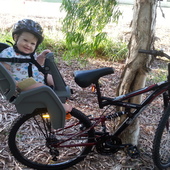 User avatar for Lisa Delanty