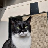 User avatar for Evette Breitzke