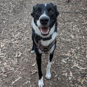 User avatar for Jamaya P