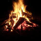 User avatar for Son58812001@Yahoo.Com Tran