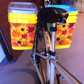 User avatar for Pam Aerts