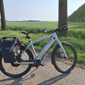 User avatar for Nils Sosef