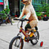 User avatar for Rachel Bowden