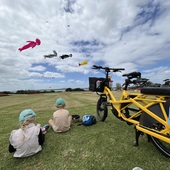 User avatar for Tracey Chaney