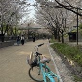 User avatar for Paula Hohaia