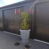 User avatar for Ann Maree N Russell Blick