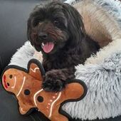 User avatar for Adele Robyn