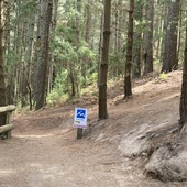 User avatar for Emma Dear