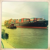 User avatar for Amanda Reed