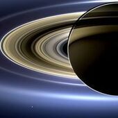 User avatar for David Ivory