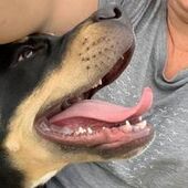 User avatar for Bree Torkington