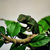 User avatar for Jamie Harbord