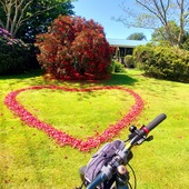 User avatar for Lulu Sun