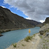 User avatar for Tony Fruean