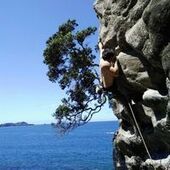 User avatar for Cy Chun Yeet