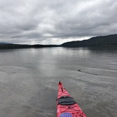 User avatar for Michael Hanley