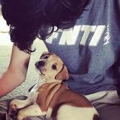 User avatar for Ani Harrison