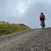 User avatar for Catherine Scoular