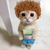 User avatar for Alex Nicol