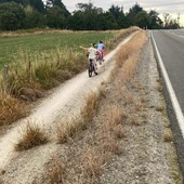 User avatar for Alex Taylor