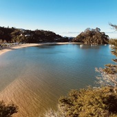 User avatar for Anita Currie