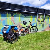 User avatar for Alvin Estrella