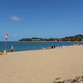 User avatar for Ross Young