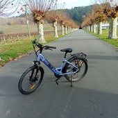 User avatar for Karyn Salmon