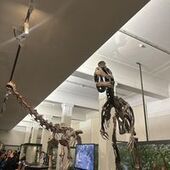 User avatar for Gary Zhao