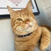 User avatar for Amy Edwards