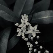 User avatar for Natasha Ochkas