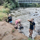 User avatar for Jono Adams