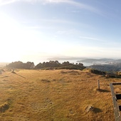 User avatar for Mike Taylor