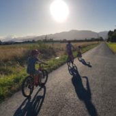 User avatar for Jayne Lewis