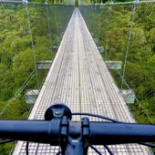 User avatar for Jane I Potts