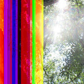 User avatar for M Valentine