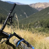 User avatar for Timm Brehm