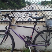 User avatar for Jim Williamson