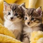 User avatar for Oscar Roper