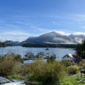 User avatar for Alex Zhang