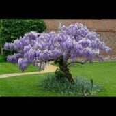 User avatar for Nancy Brockett